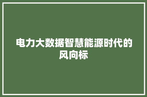 电力大数据智慧能源时代的风向标