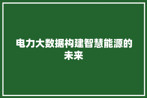 电力大数据构建智慧能源的未来