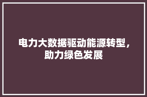 电力大数据驱动能源转型，助力绿色发展 网络技术