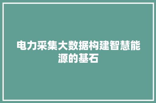 电力采集大数据构建智慧能源的基石
