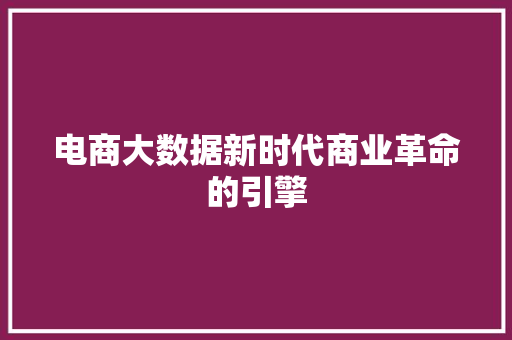 电商大数据新时代商业革命的引擎