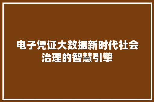 电子凭证大数据新时代社会治理的智慧引擎
