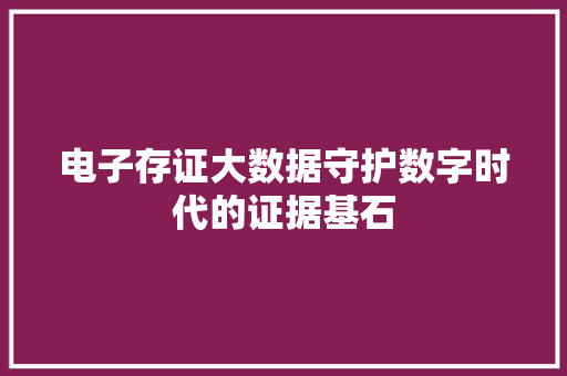 电子存证大数据守护数字时代的证据基石