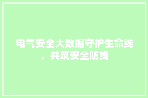 电气安全大数据守护生命线，共筑安全防线 电脑基础
