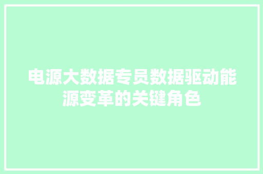 电源大数据专员数据驱动能源变革的关键角色