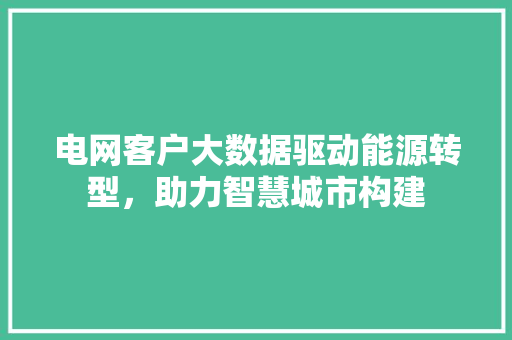 电网客户大数据驱动能源转型，助力智慧城市构建