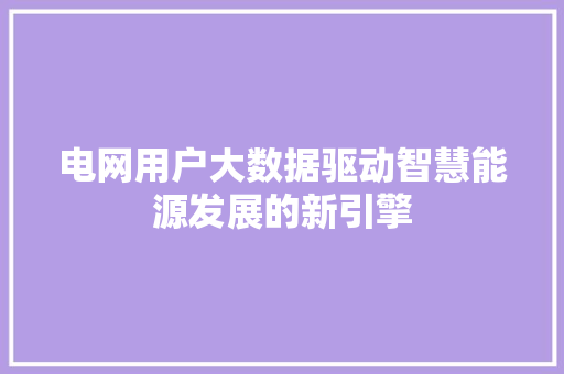 电网用户大数据驱动智慧能源发展的新引擎