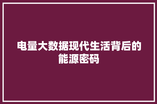 电量大数据现代生活背后的能源密码 电量大数据现代生活背后的能源密码