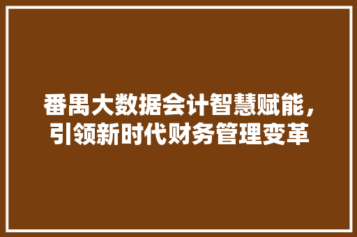 番禺大数据会计智慧赋能，引领新时代财务管理变革 网络技术