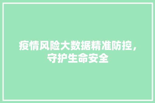 疫情风险大数据精准防控,守护生命安全 疫情风险大数据精准防控,守护生命安全