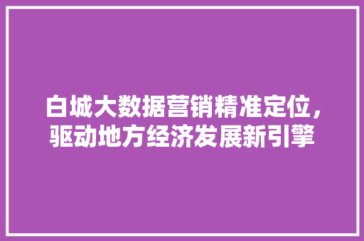 白城大数据营销精准定位，驱动地方经济发展新引擎