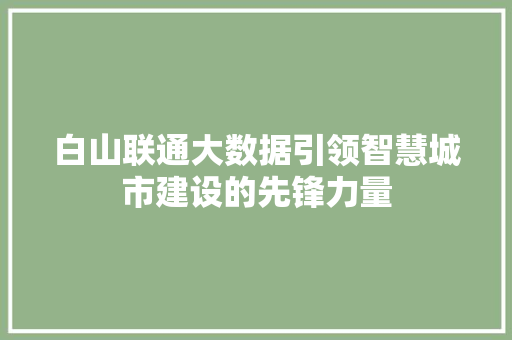 白山联通大数据引领智慧城市建设的先锋力量