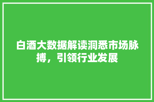白酒大数据解读洞悉市场脉搏，引领行业发展