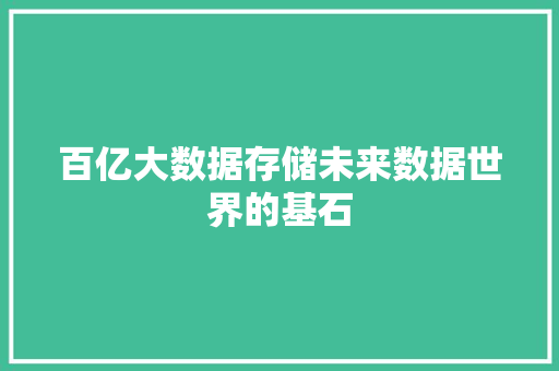 百亿大数据存储未来数据世界的基石