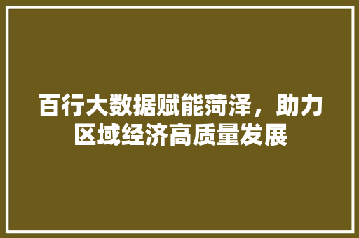 百行大数据赋能菏泽，助力区域经济高质量发展
