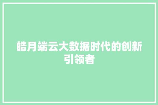 皓月端云大数据时代的创新引领者