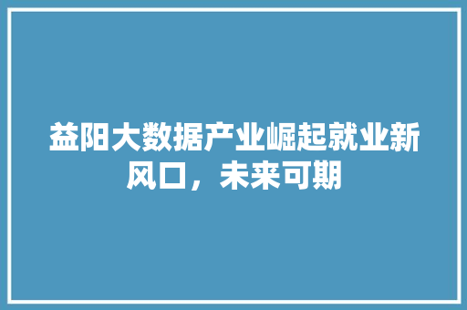 益阳大数据产业崛起就业新风口，未来可期