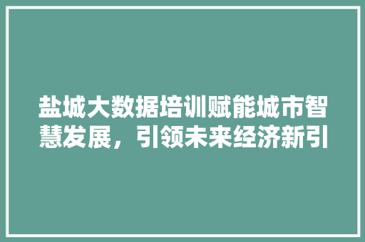盐城大数据培训赋能城市智慧发展，引领未来经济新引擎