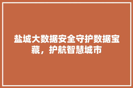 盐城大数据安全守护数据宝藏，护航智慧城市