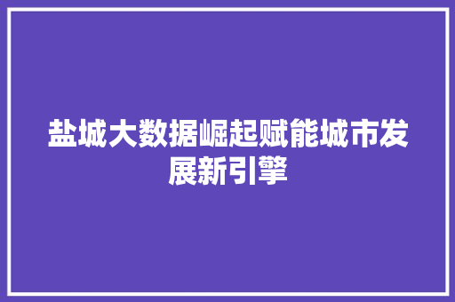 盐城大数据崛起赋能城市发展新引擎