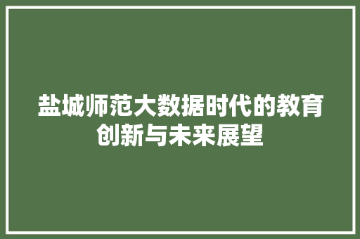 盐城师范大数据时代的教育创新与未来展望