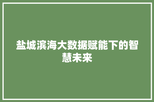 盐城滨海大数据赋能下的智慧未来 盐城滨海大数据赋能下的智慧未来