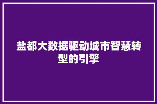 盐都大数据驱动城市智慧转型的引擎 盐都大数据驱动城市智慧转型的引擎