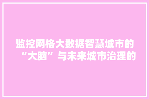 监控网格大数据智慧城市的“大脑”与未来城市治理的利器