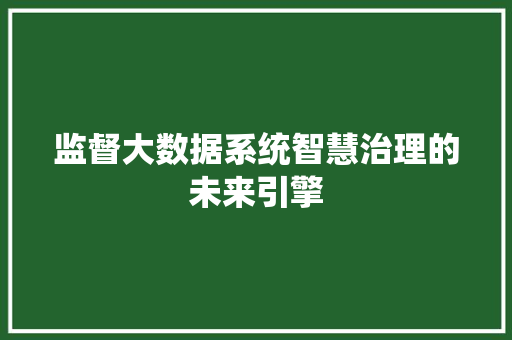 监督大数据系统智慧治理的未来引擎