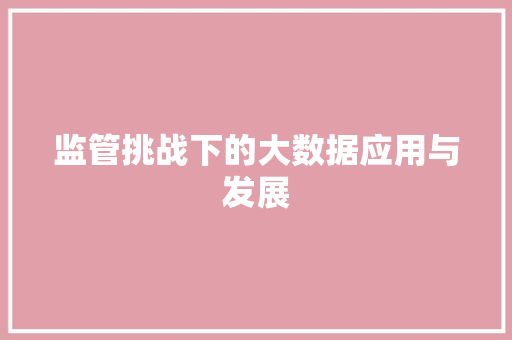 监管挑战下的大数据应用与发展 网络技术