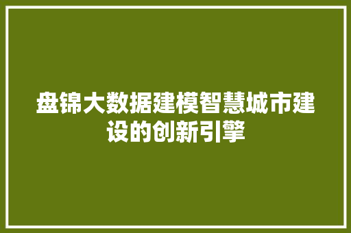 盘锦大数据建模智慧城市建设的创新引擎