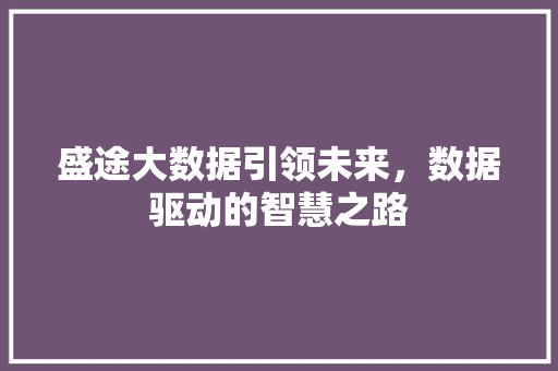 盛途大数据引领未来，数据驱动的智慧之路