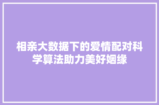 相亲大数据下的爱情配对科学算法助力美好姻缘