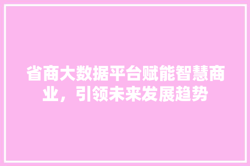 省商大数据平台赋能智慧商业，引领未来发展趋势