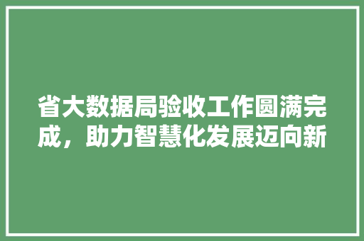 省大数据局验收工作圆满完成，助力智慧化发展迈向新台阶