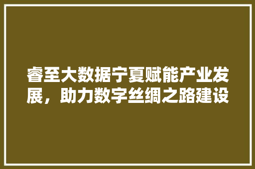 睿至大数据宁夏赋能产业发展，助力数字丝绸之路建设