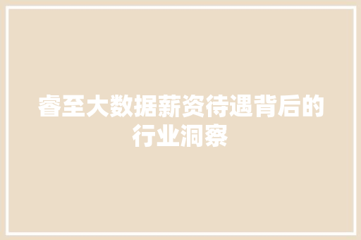 睿至大数据薪资待遇背后的行业洞察