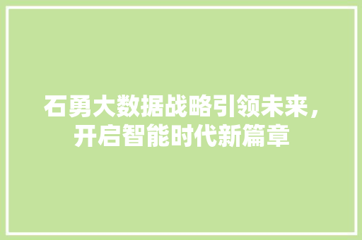 石勇大数据战略引领未来，开启智能时代新篇章
