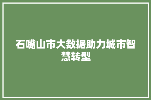 石嘴山市大数据助力城市智慧转型
