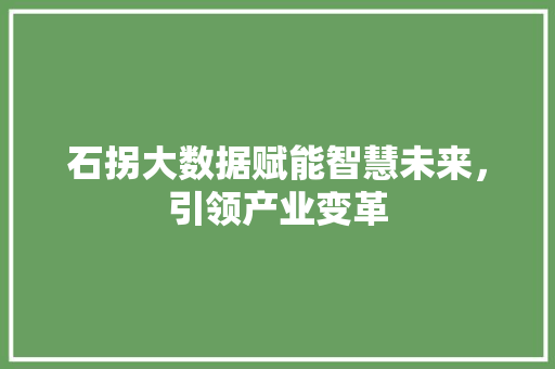 石拐大数据赋能智慧未来，引领产业变革