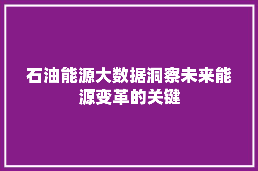 石油能源大数据洞察未来能源变革的关键