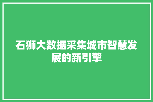 石狮大数据采集城市智慧发展的新引擎