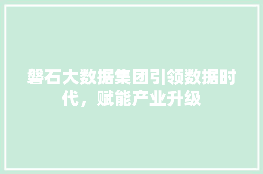 磐石大数据集团引领数据时代，赋能产业升级