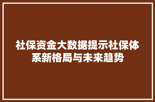 社保资金大数据提示社保体系新格局与未来趋势 社保资金大数据提示社保体系新格局与未来趋势