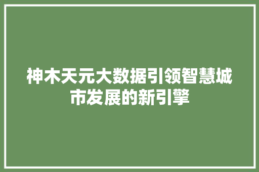 神木天元大数据引领智慧城市发展的新引擎