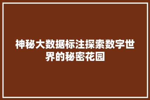 神秘大数据标注探索数字世界的秘密花园