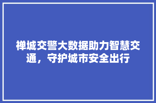 禅城交警大数据助力智慧交通，守护城市安全出行 编程语言