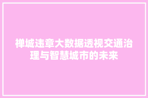 禅城违章大数据透视交通治理与智慧城市的未来