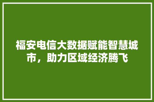 福安电信大数据赋能智慧城市，助力区域经济腾飞 编程语言