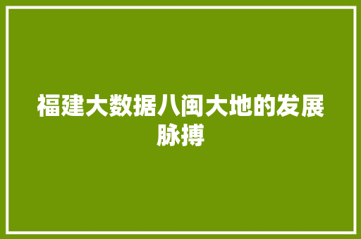 福建大数据八闽大地的发展脉搏